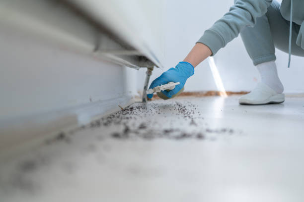 Best Pest Inspection Near Me  in Locust, NC